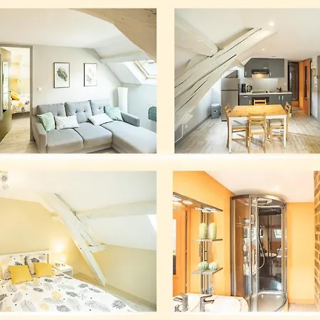 Le Cosy Tannerie - Hypercentre - Climatise Apartment Troyes