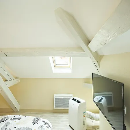 Le Cosy Tannerie - Hypercentre - Climatise Apartment *
