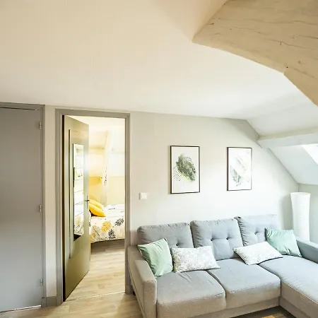 Le Cosy Tannerie - Hypercentre - Climatise